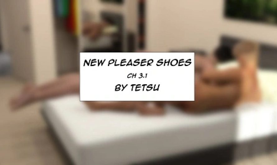 TetsuGTS – New Pleaser Shoes 2.6-3.1